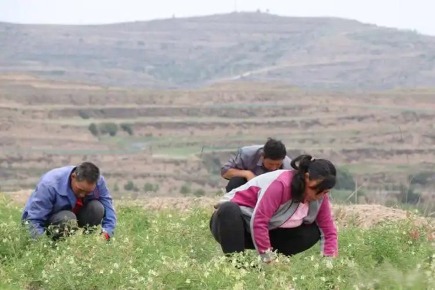 微信图片_20250604105250.png 微信图片_20250604105250.png